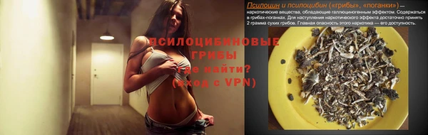 мяу мяу мука Горно-Алтайск