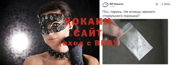 мяу мяу мука Горно-Алтайск