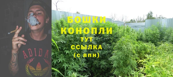 мяу мяу мука Горно-Алтайск