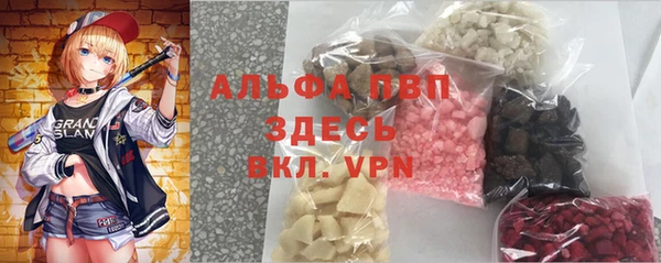 мяу мяу мука Горно-Алтайск