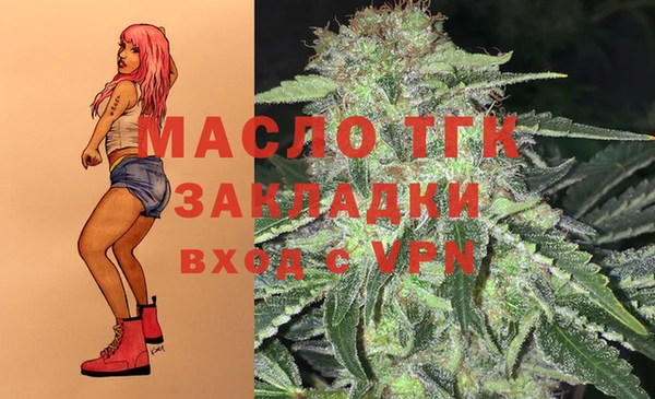 мяу мяу мука Горно-Алтайск