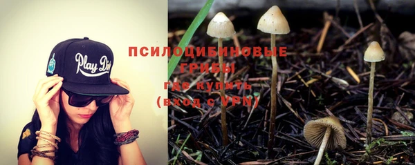скорость Горняк