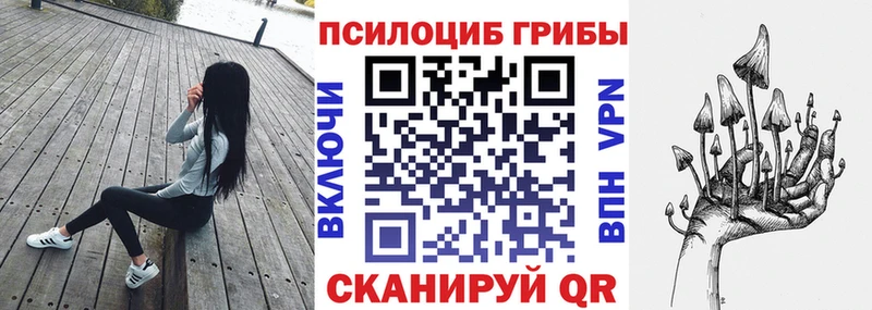 Псилоцибиновые грибы Magic Shrooms  Подольск 